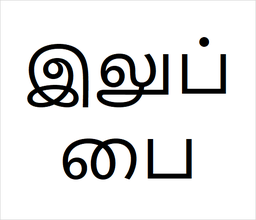 [இலுப்பை] Illuppai sapling