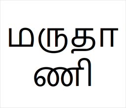 [மருதாணி] Maruthani sapling