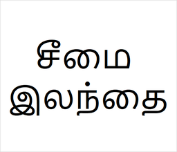 [சீமை இலந்தை] Seemai ilanthai sapling