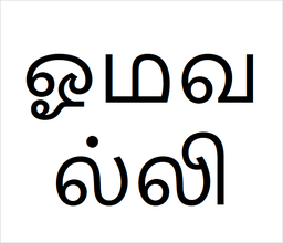 [ஓமவல்லி] Oma valli sapling