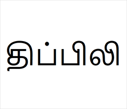 [திப்பிலி] Thippili sapling