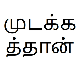 [முடக்கத்தான்] Mudakathan sapling