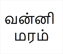 [வன்னி மரம்] Vanni sapling