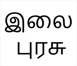 [இலை புரசு] Purasu sapling