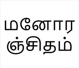 [மனோரஞ்சிதம்] Manoranjitham sapling