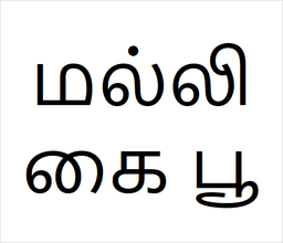 [மல்லிகை பூ] Malli sapling